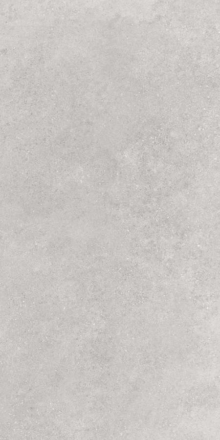 Серый Матовый R10A Ректификат 60x120 (600x1200)
