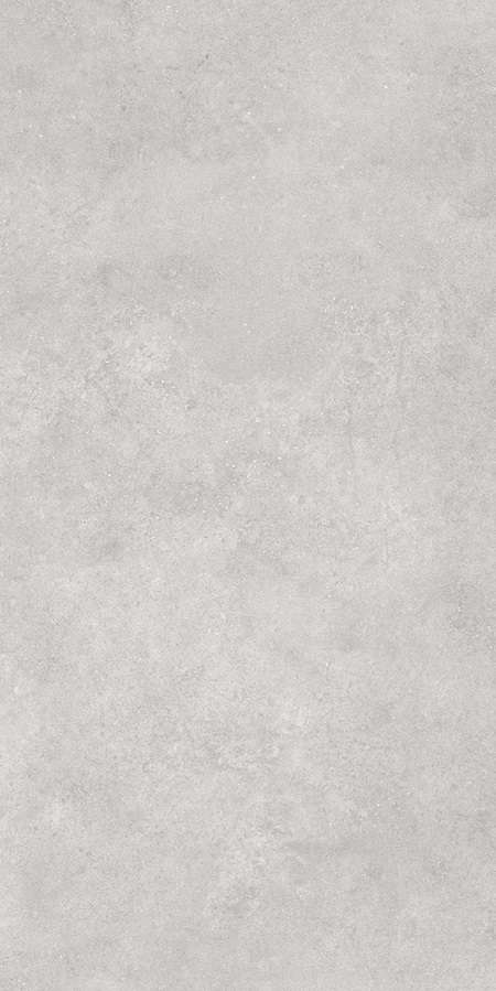 Серый Матовый R10A Ректификат 60x120 (600x1200)