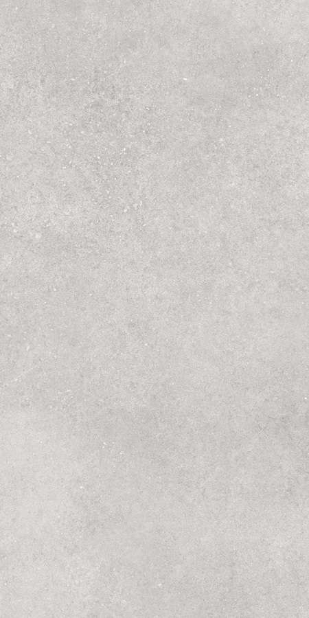 Серый Матовый R10A Ректификат 60x120 (600x1200)
