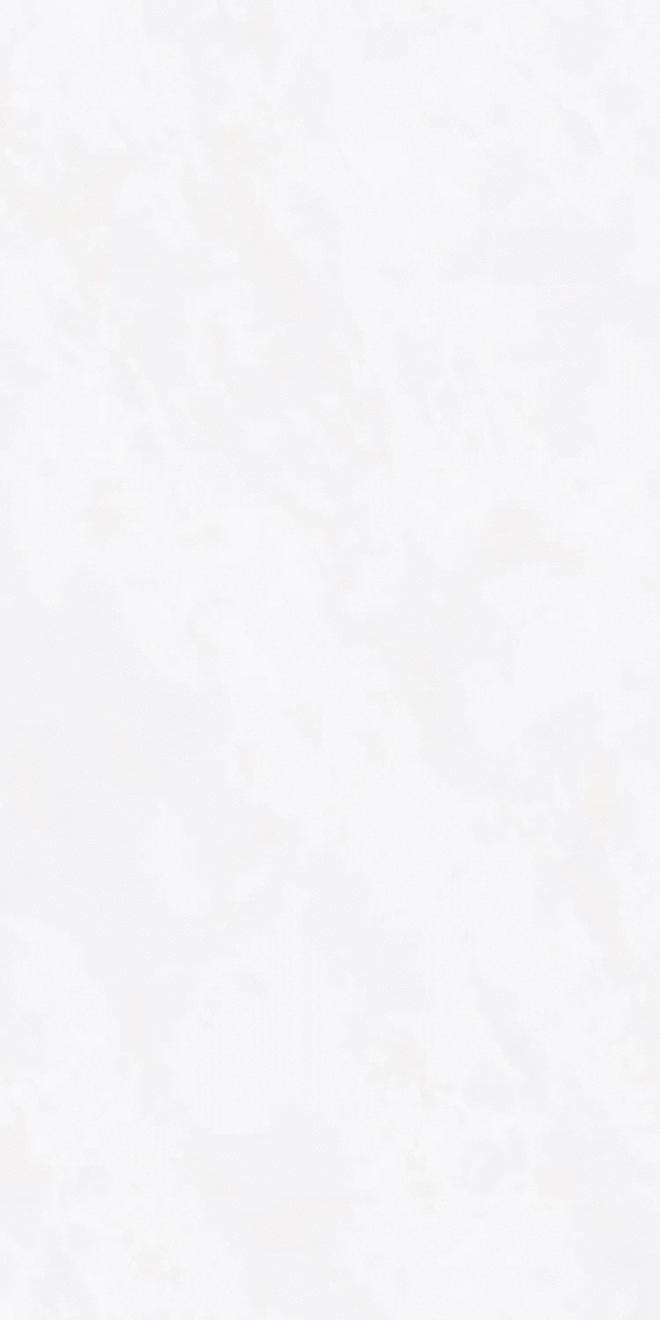 ZA-D12603 PR 1200x600x9 (600x1200)