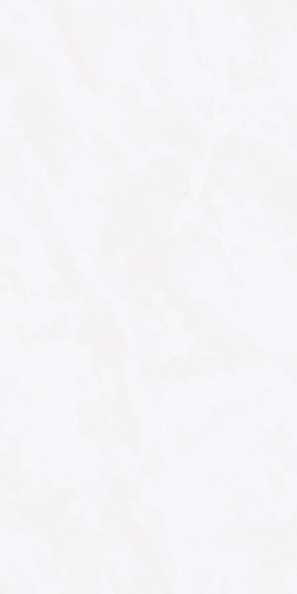 ZA-D12603 PR 1200x600x9 (600x1200)