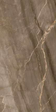 ВайФай Керамикс Marble Brown Marble Glos. 60x120