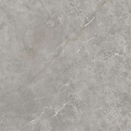 Икс-Лайт FIORI DI BOSCO Premium 120x120 Polished 6 мм