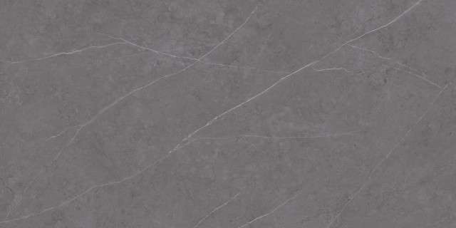 Икс-Лайт Liem Premium 120x250 Grey Polished