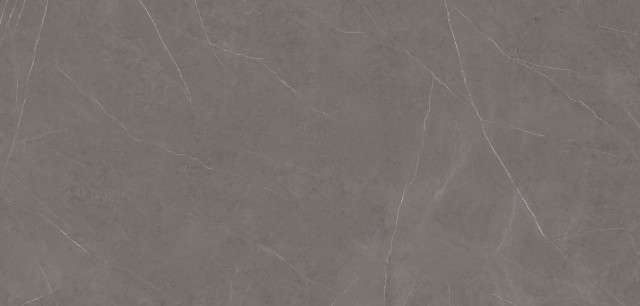 Икс-Лайт Xtone 150x300 Liem Grey Polished (6 мм)